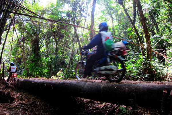 Motorcycles crossing a log bridge in the jungle outside Ndedu